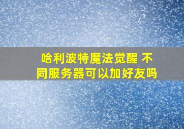 哈利波特魔法觉醒 不同服务器可以加好友吗